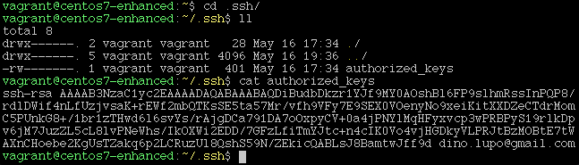 ssh authorized_keys example